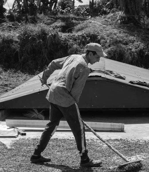 20251126LEÑOSDETABIAPOYOCRONICA03